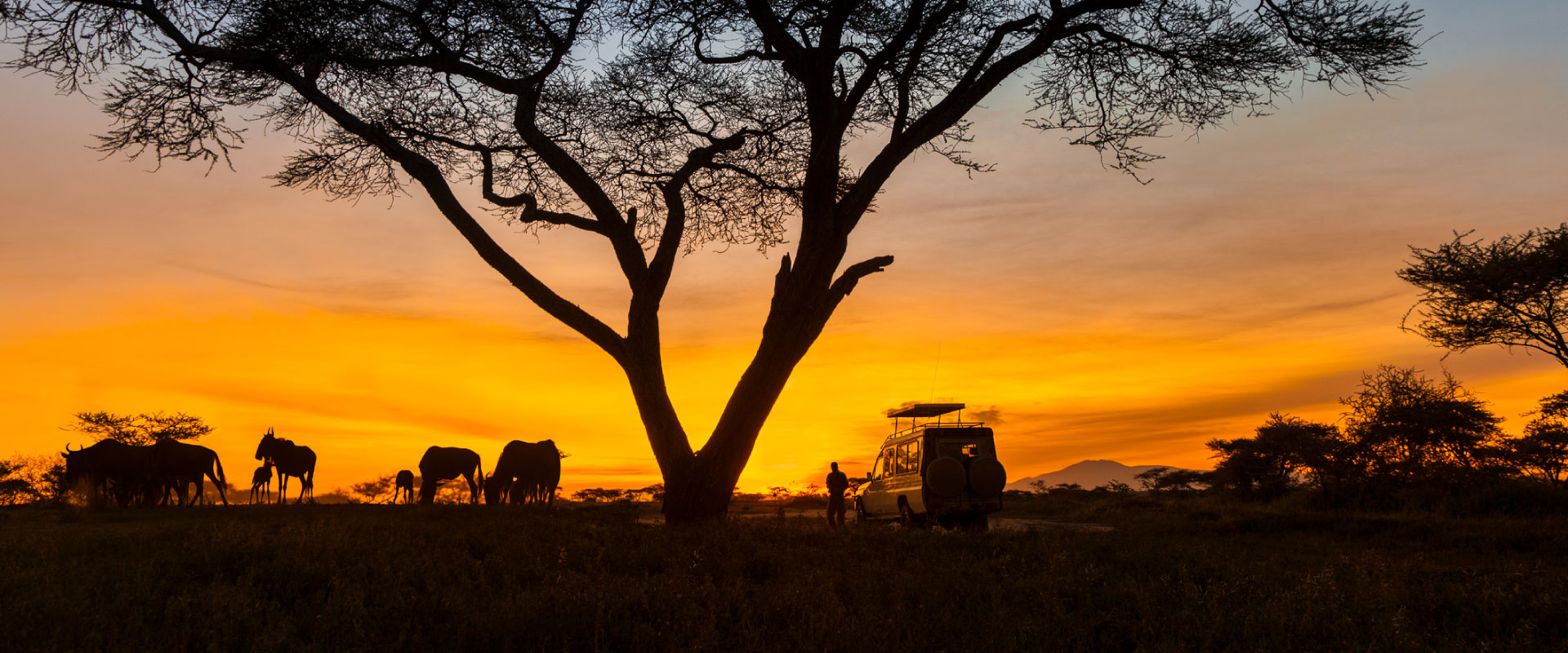 Serengeti National Park tour in tanzania